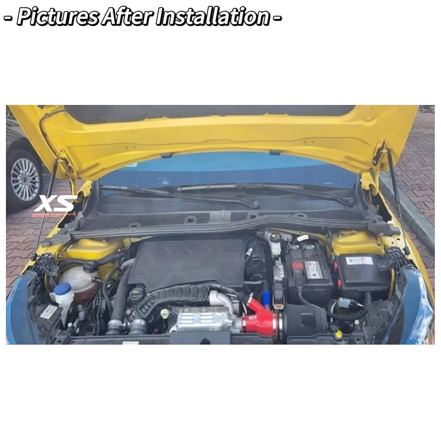 Amazon.co.jp: ボンネットダンパー プジョー 208 Mk2 P21 2019